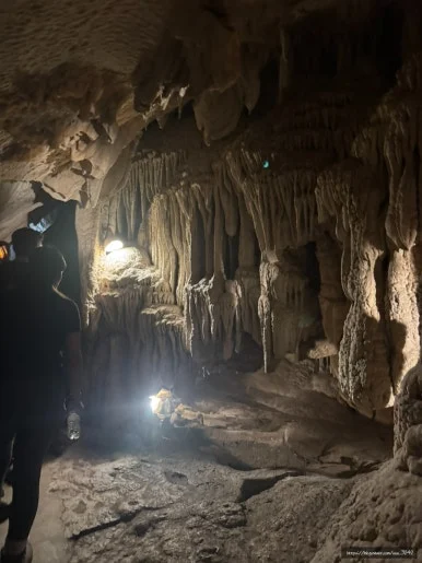 SE-74716887-B498-49D7-962F-80C1B9AFB0AA.jpg?type=w386