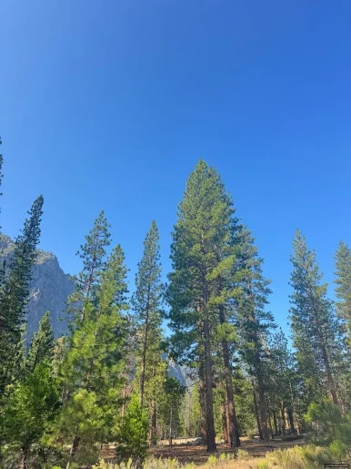 SE-3C1318F6-7A9D-4C65-96F9-30A763E8EABB.jpg?type=w386