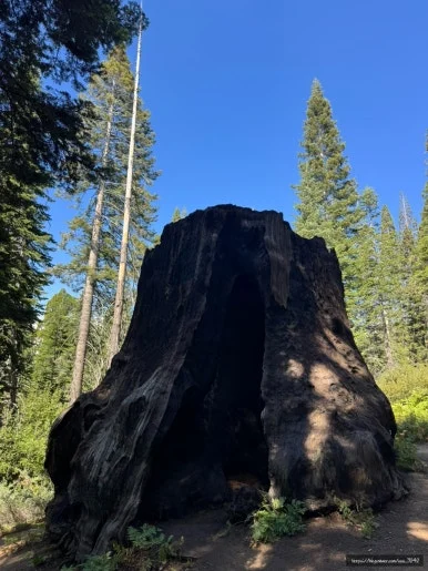 SE-C669D189-A99E-4663-AE1B-B888A5001BB5.jpg?type=w386