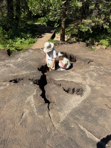 SE-CDCA7204-0269-4CC9-8936-2816F7A76DAF.jpg?type=w386