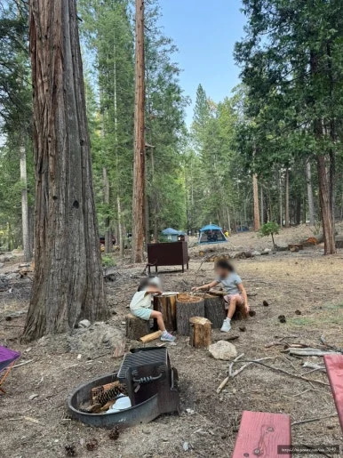 SE-29F5945F-1D52-4F61-9786-D8B00668A5AC.jpg?type=w386