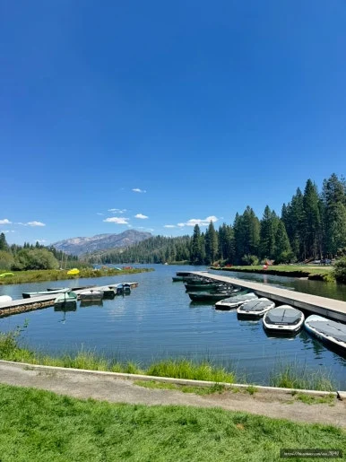 SE-F379D9A8-A02E-4004-9317-E26E0CADB54E.jpg?type=w386