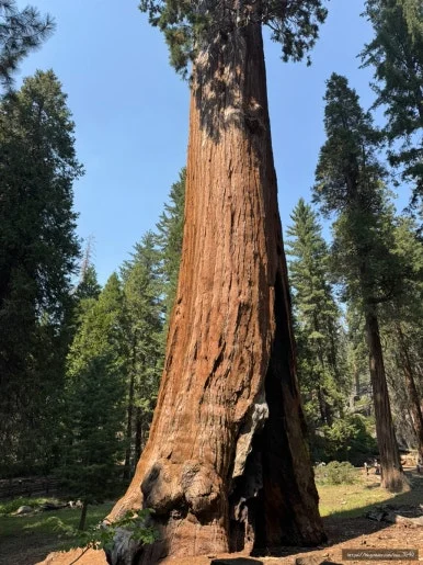 SE-EA870ED6-14C6-42EB-8352-E60AD4513E36.jpg?type=w386