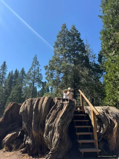 SE-D22A725D-6B5D-4AE5-A3A5-895D5908B409.jpg?type=w386