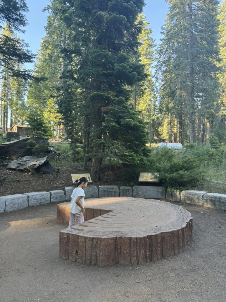 IMG_1127.jpg?type=w773