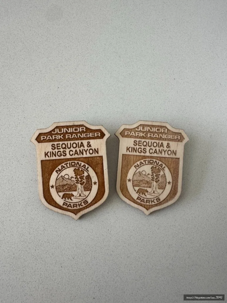 SE-F8F0A021-CD91-4335-B289-AF8BDD0E1F65.jpg?type=w773