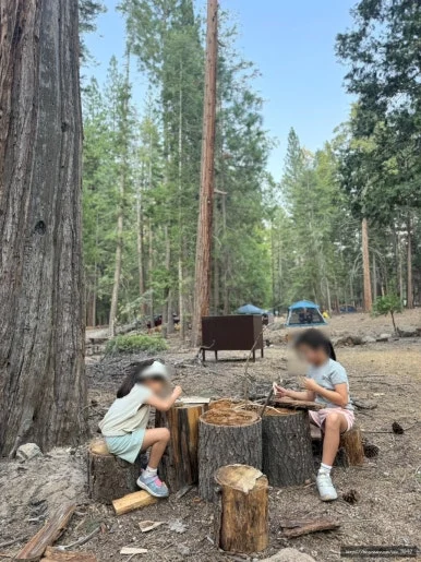 SE-6EB14E5F-4005-45AC-889C-C828FBAD44D5.jpg?type=w386