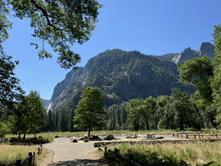 IMG_1083.jpg?type=w773