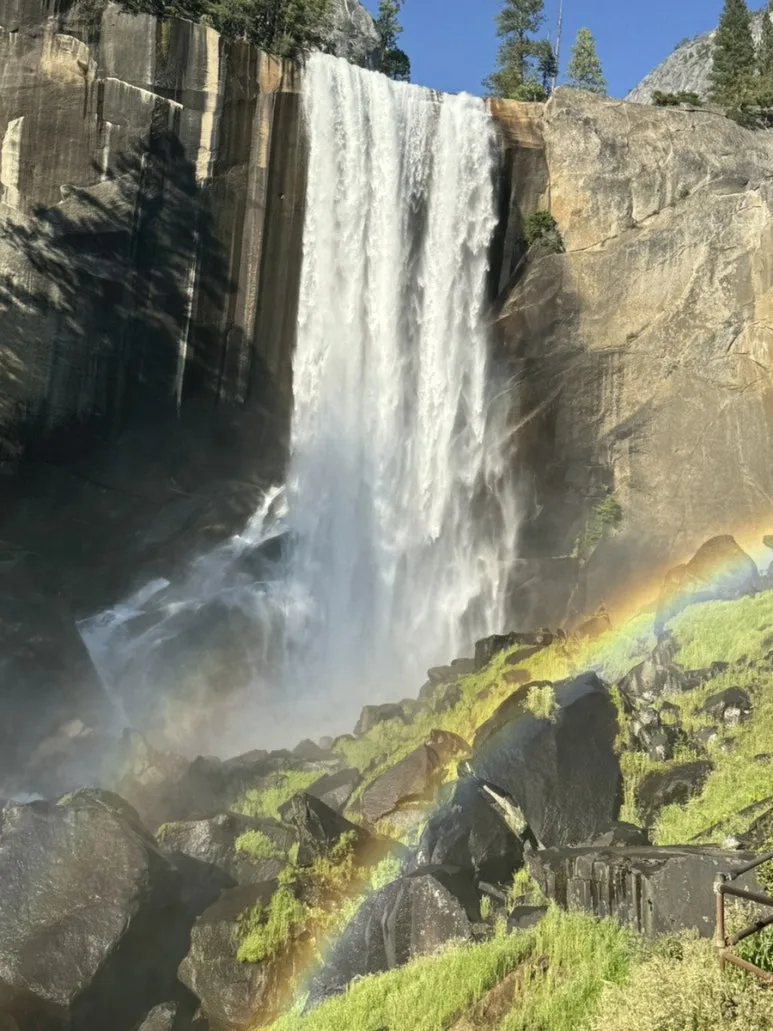 IMG_0940.jpg?type=w773