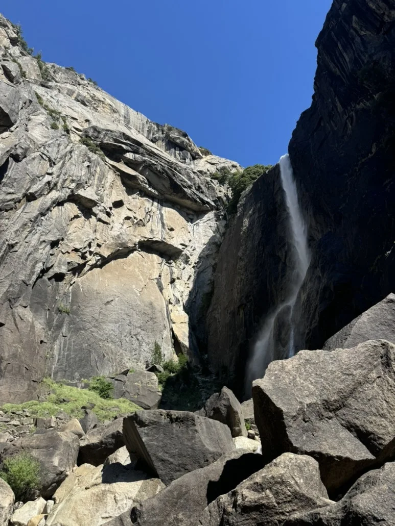 IMG_1066.jpg?type=w773