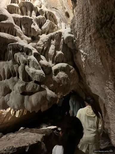 SE-37DE66B3-9A0E-4D7A-B4F8-A7A24E22A931.jpg?type=w386