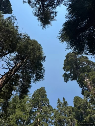 SE-FE3AABFE-8971-4842-86EA-1E350A231650.jpg?type=w386