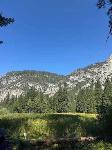 SE-0C13F63B-357A-450B-AC46-8F249BB2E30A.jpg?type=w386