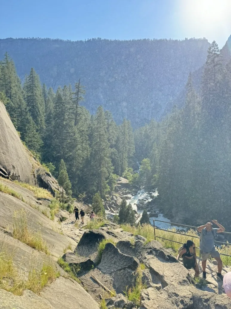 IMG_0971.jpg?type=w773