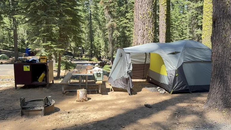 IMG_0872.JPG?type=w773