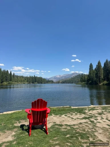 SE-DA04DA18-5D02-4A03-A40B-D4A3FB251913.jpg?type=w386