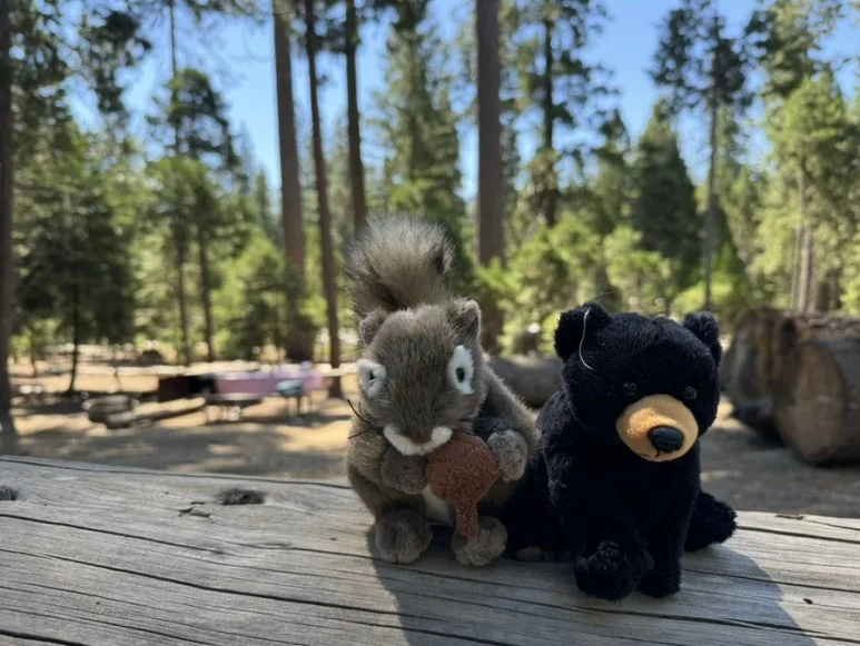 IMG_1162.jpg?type=w773