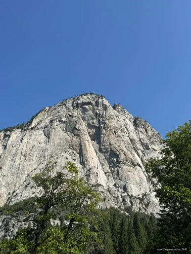 SE-2B08E115-F0B4-4537-BB1A-47494458A833.jpg?type=w386