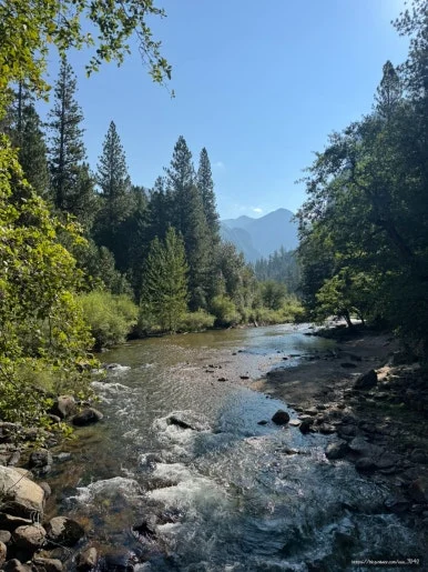 SE-CBAB2BDF-F9B5-4ACF-AD40-05887405B95F.jpg?type=w386