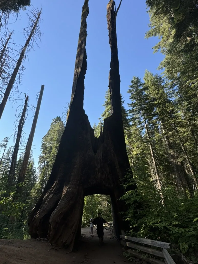 IMG_1123.jpg?type=w773