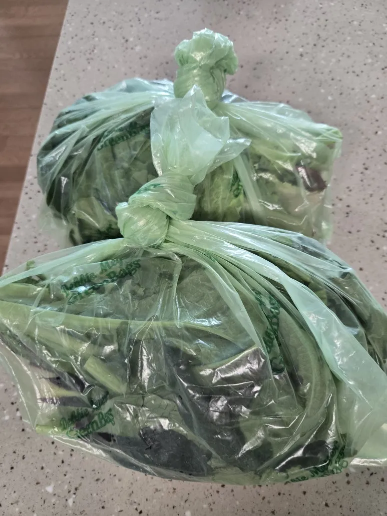 KakaoTalk_20260204_151832759_07.jpg?type=w773