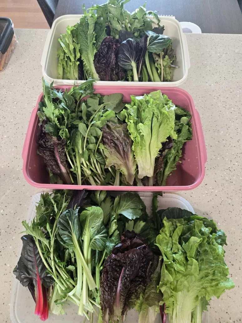 KakaoTalk_20260204_151832759_03.jpg?type=w773