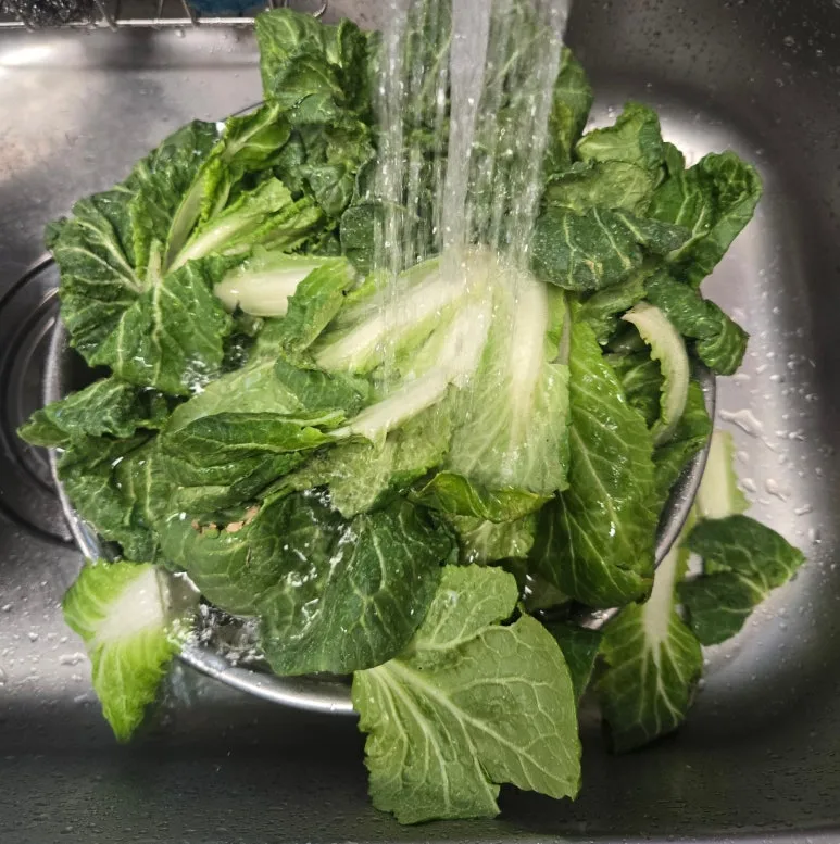 SE-45950f7a-f8f3-4be3-b1fb-40c1baa6b08b.jpg?type=w773