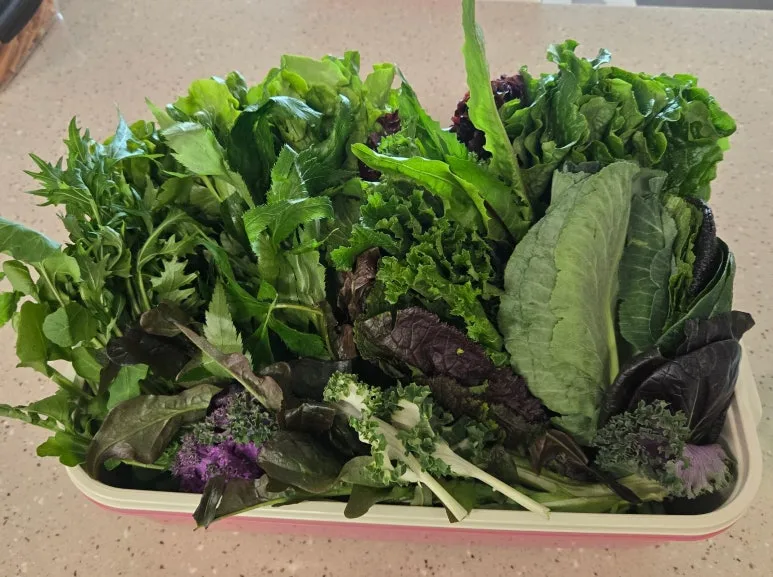 SE-e2da809b-94e1-490f-8c7c-8f50f6b31a5f.jpg?type=w773