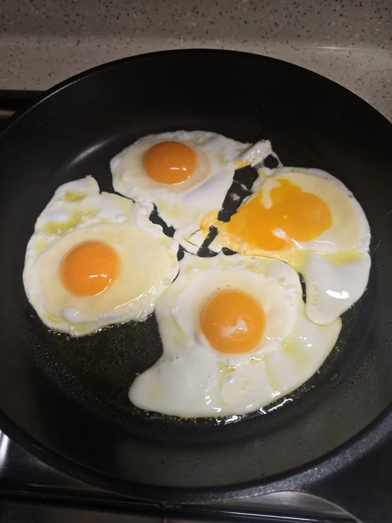 KakaoTalk_20260226_161724356_18.jpg?type=w773