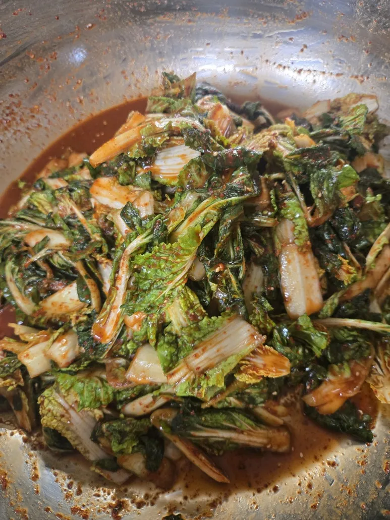 KakaoTalk_20260226_161724356_11.jpg?type=w773