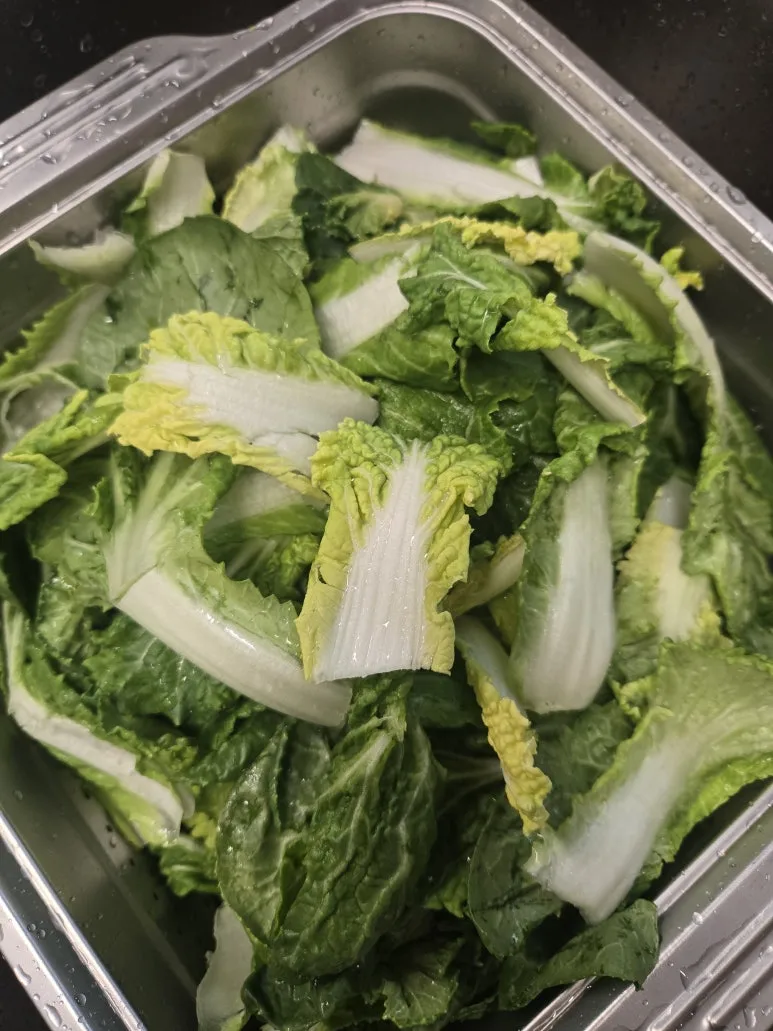 KakaoTalk_20260226_161724356_04.jpg?type=w773