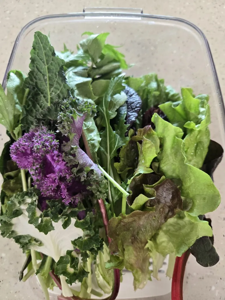 KakaoTalk_20260204_151832759_05.jpg?type=w773