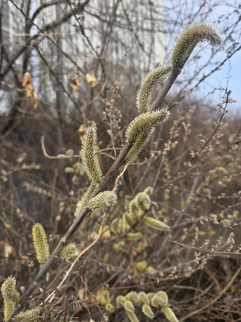 KakaoTalk_20260315_112430992_01.jpg?type=w773