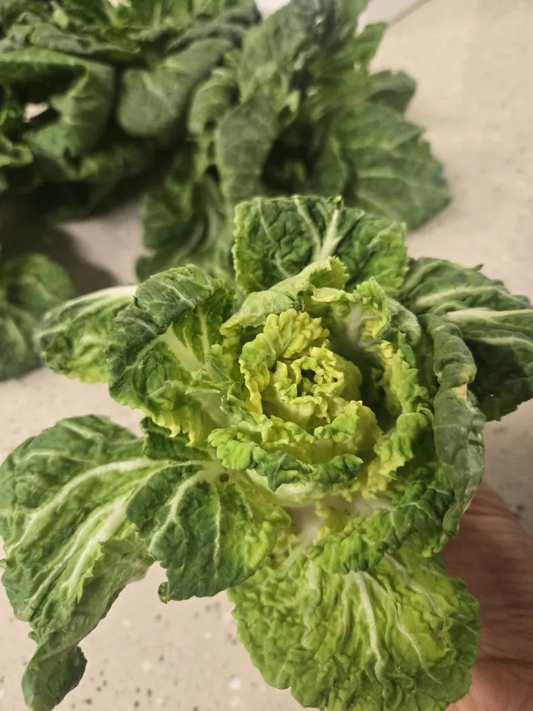 KakaoTalk_20260226_161724356_01.jpg?type=w773