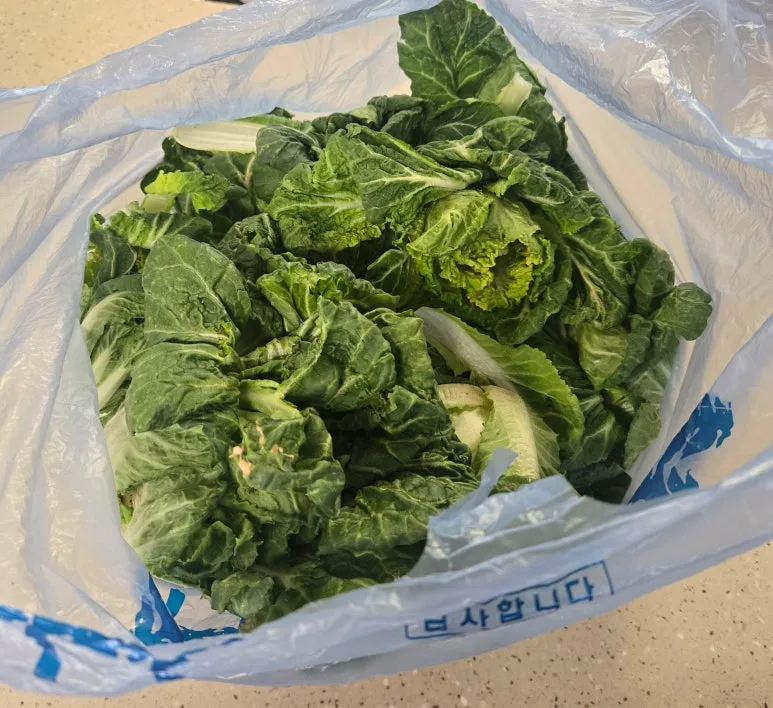 SE-18f72e53-abb2-42d4-ac7e-7c6b6d21d2cb.jpg?type=w773