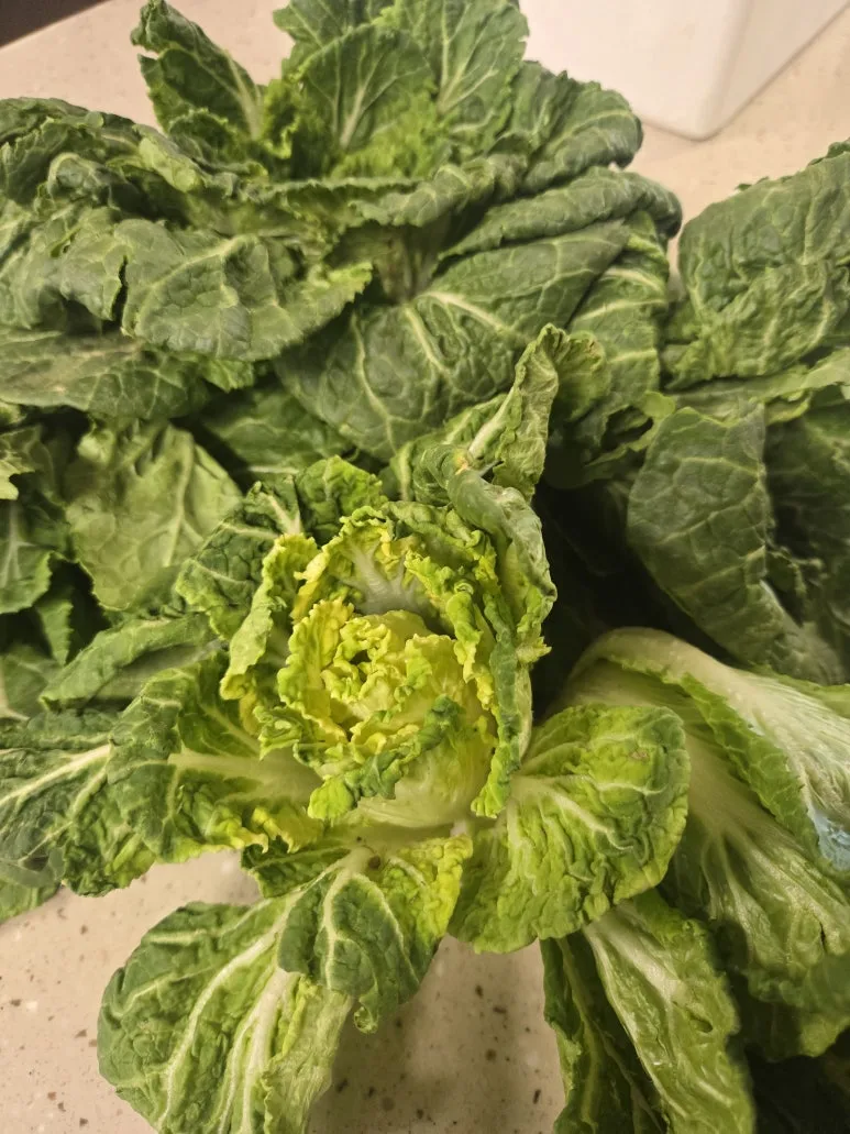 KakaoTalk_20260226_161724356_02.jpg?type=w773