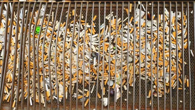 img.jpg?credential=yqXZFxpELC7KVnFOS48ylbz2pIh7yKj8&expires=1772290799&allow_ip=&allow_referer=&signature=ZlNFpkjcIDvDnGJfhKoxlm4tb0M%3D