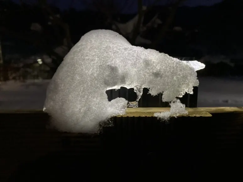 IMG_5848.jpg?type=w773