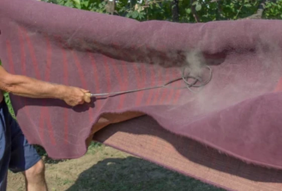 Screenshot_2026-03-31_205813.png?type=w773