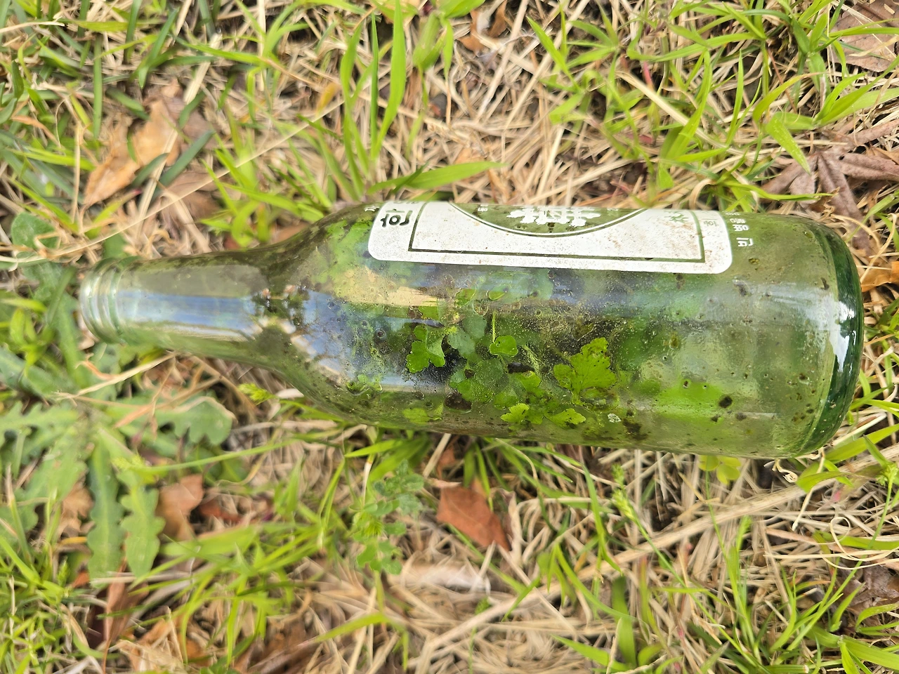 tfile.jpg?credential=yqXZFxpELC7KVnFOS48ylbz2pIh7yKj8&expires=1774969199&allow_ip=&allow_referer=&signature=ou%2BGvqhyTh74bSWuhoNBieNRXjk%3D