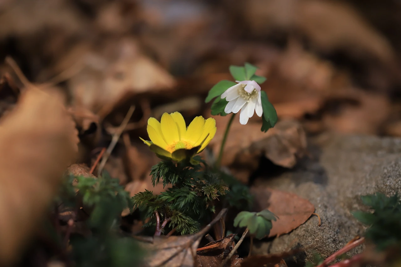 img.jpg?credential=yqXZFxpELC7KVnFOS48ylbz2pIh7yKj8&expires=1774969199&allow_ip=&allow_referer=&signature=SstDBg8idMRO6D2vXvy0bir%2FC%2BY%3D