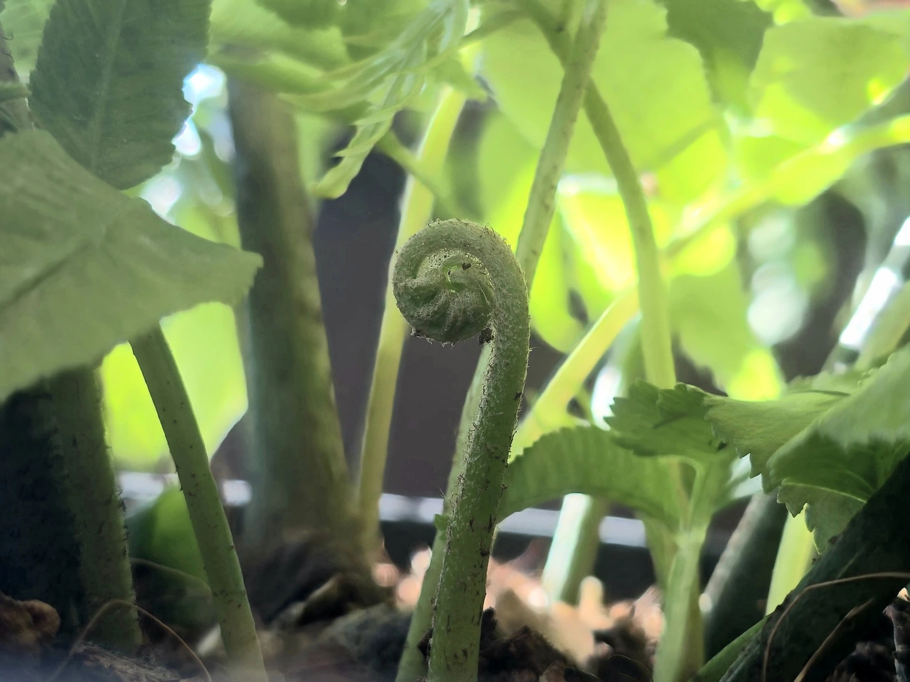 img.jpg?credential=yqXZFxpELC7KVnFOS48ylbz2pIh7yKj8&expires=1777561199&allow_ip=&allow_referer=&signature=EV5klKBCdR2gfqpEBsr4ZC0LXUs%3D