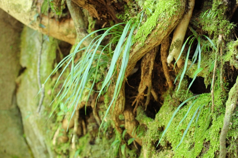 img.jpg?credential=yqXZFxpELC7KVnFOS48ylbz2pIh7yKj8&expires=1774969199&allow_ip=&allow_referer=&signature=45pP%2BZnr4uWb%2FX2uTb4NVFAlgYA%3D