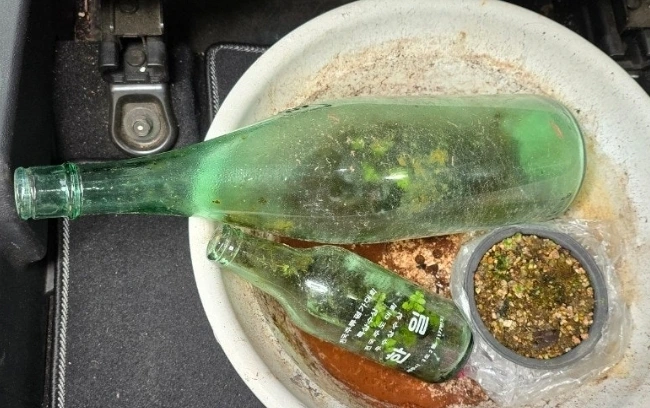 tfile.jpg?credential=yqXZFxpELC7KVnFOS48ylbz2pIh7yKj8&expires=1774969199&allow_ip=&allow_referer=&signature=zlbH3C%2Foy4rRYlWBA%2Fo35zD6jWk%3D