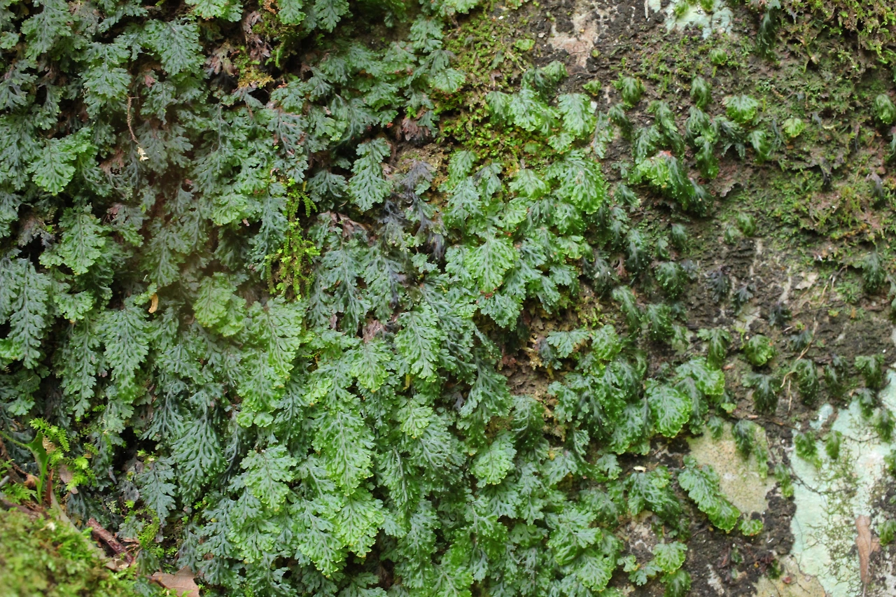 img.jpg?credential=yqXZFxpELC7KVnFOS48ylbz2pIh7yKj8&expires=1774969199&allow_ip=&allow_referer=&signature=SbxdE%2FVg2M5xplZ%2BKyMH0UDdVfA%3D