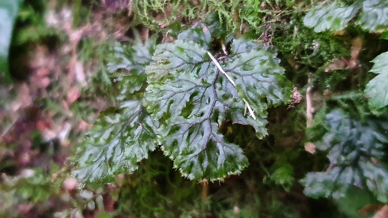 img.jpg?credential=yqXZFxpELC7KVnFOS48ylbz2pIh7yKj8&expires=1774969199&allow_ip=&allow_referer=&signature=L%2FMV1ELgev%2FBh%2Fur5ub%2FKU6I95M%3D