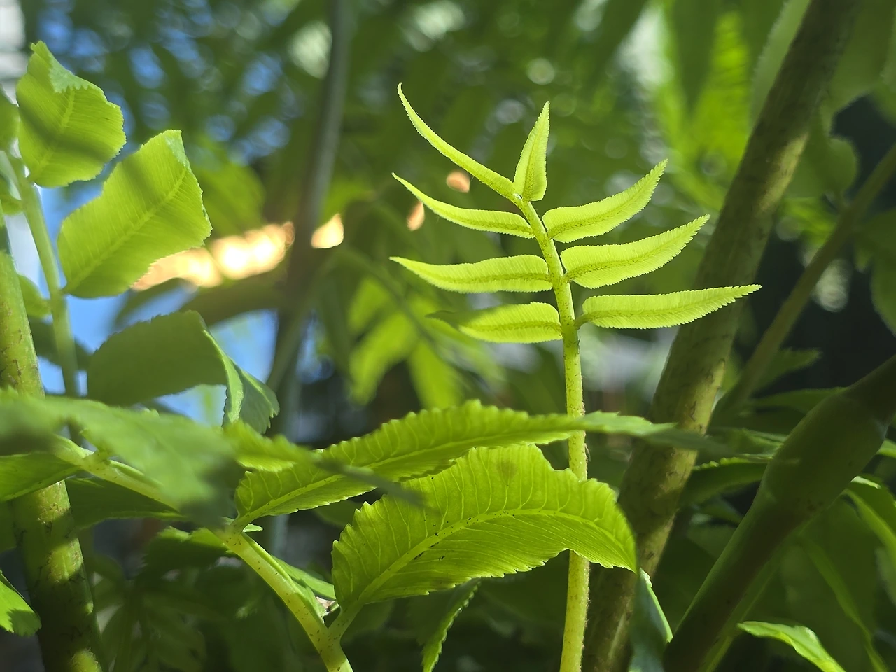 img.jpg?credential=yqXZFxpELC7KVnFOS48ylbz2pIh7yKj8&expires=1777561199&allow_ip=&allow_referer=&signature=uwCf31Qbw8f93ixtMu0DZ7qlL70%3D