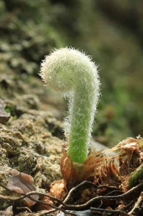 img.jpg?credential=yqXZFxpELC7KVnFOS48ylbz2pIh7yKj8&expires=1772290799&allow_ip=&allow_referer=&signature=EZzvy7LnFIlTrsCD9KAO9ywwUTM%3D