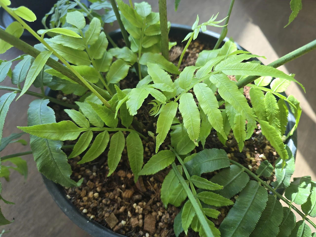 img.jpg?credential=yqXZFxpELC7KVnFOS48ylbz2pIh7yKj8&expires=1777561199&allow_ip=&allow_referer=&signature=e9S80tbz7qWExipcclYOHy9R%2Fvk%3D