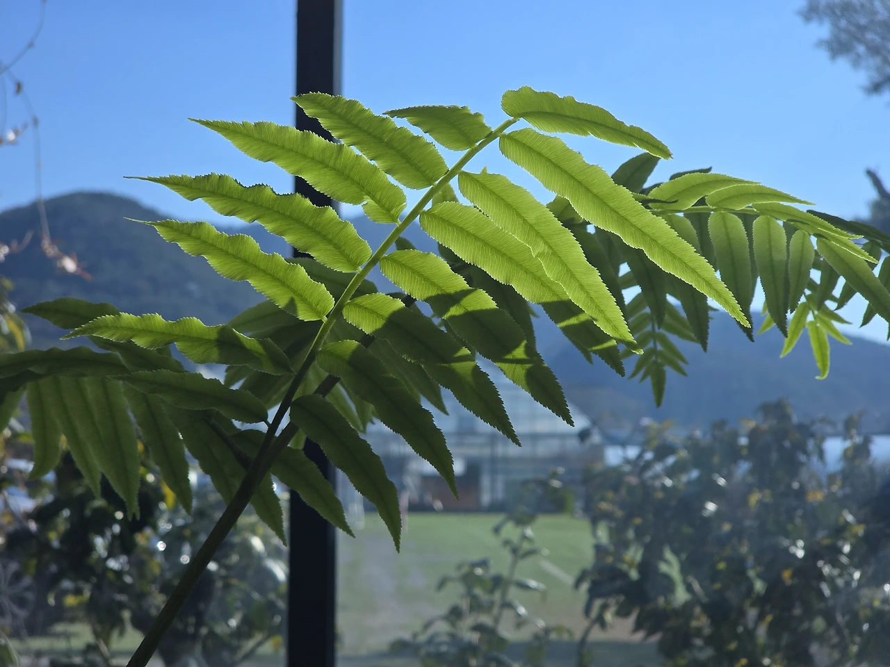 img.jpg?credential=yqXZFxpELC7KVnFOS48ylbz2pIh7yKj8&expires=1777561199&allow_ip=&allow_referer=&signature=Ksit2O5dAPO2RqFmqKiE1qiG1Kc%3D